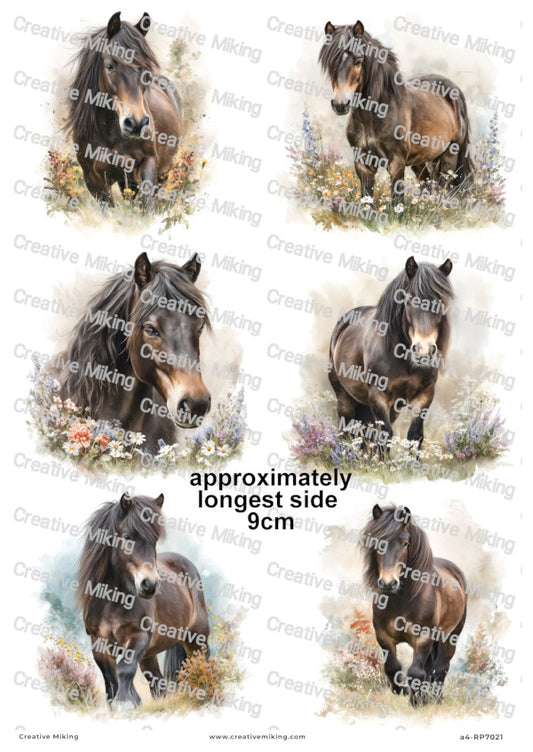 Dartmoor Pony Decoupage Paper | RP7021