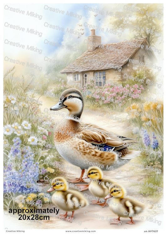 Duck With Ducklings Decoupage Paper | RP7037