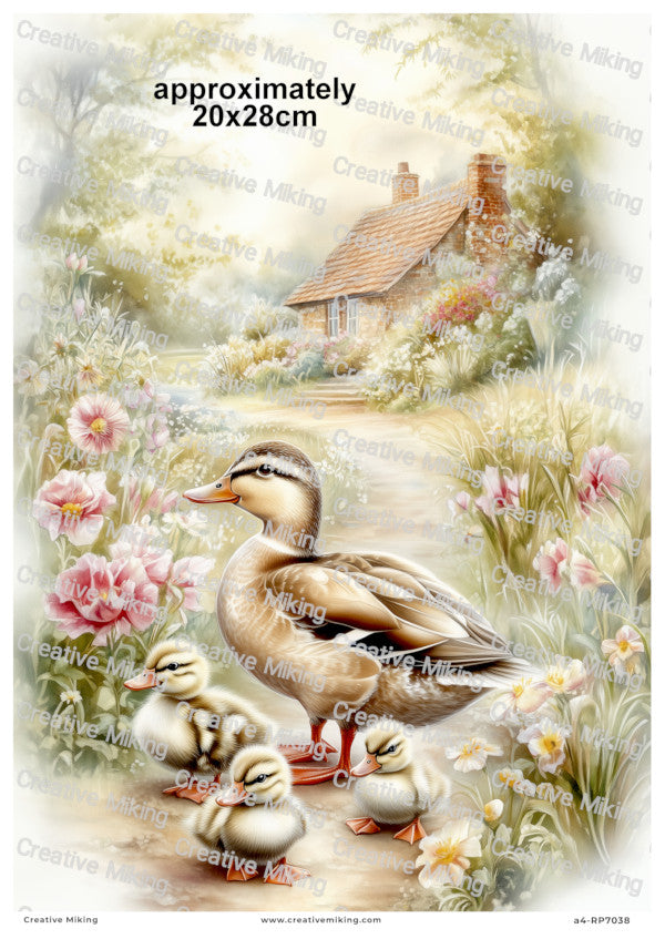 Duck With Ducklings Decoupage Paper | RP7038