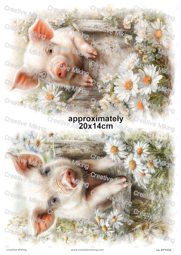 Piglet With Daisy Flowers Decoupage Paper | RP7056