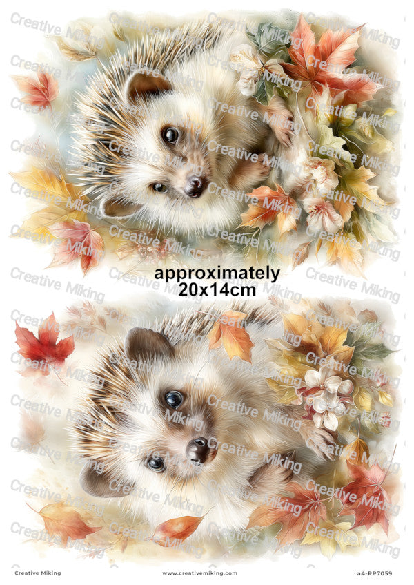 Hedgehog With Autumn Leaves Decoupage Paper | RP7059