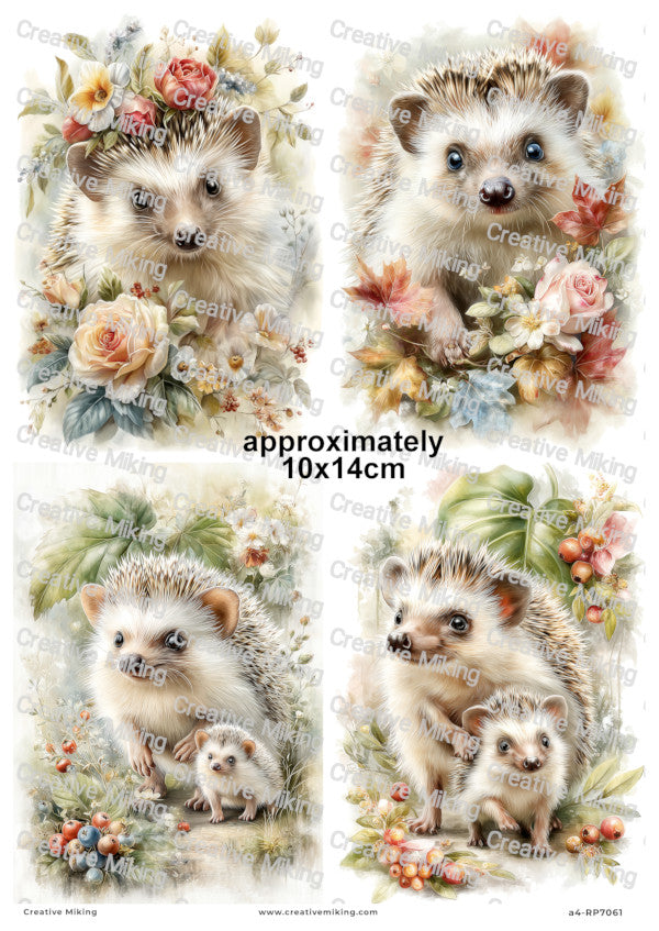 Hedgehog With Baby And Flowers Decoupage Paper | RP7061
