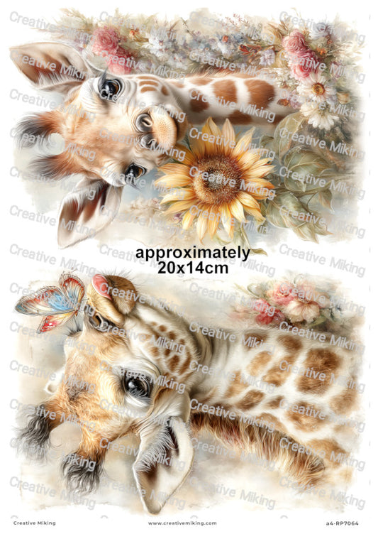 Baby Giraffe With Flowers Decoupage Paper | RP7064