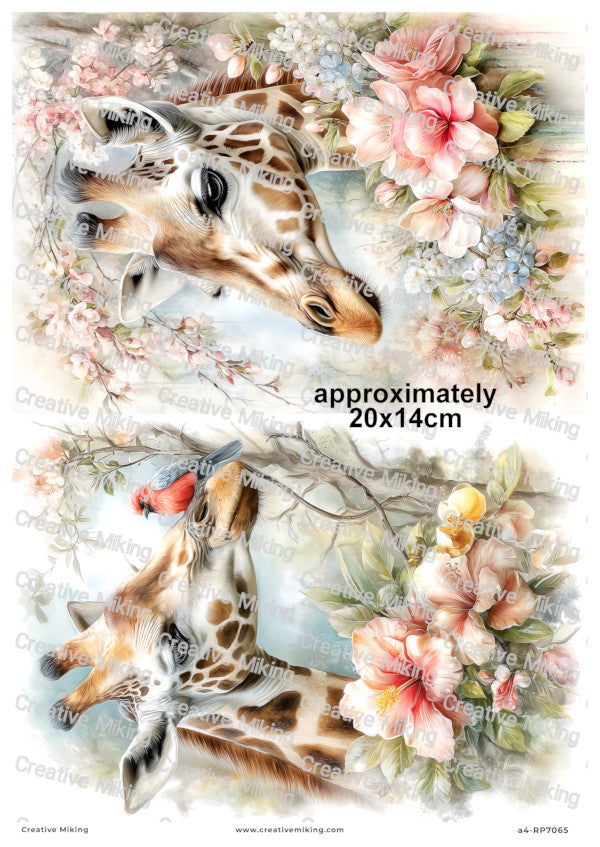 Giraffe With Blossoms Decoupage Paper | RP7065