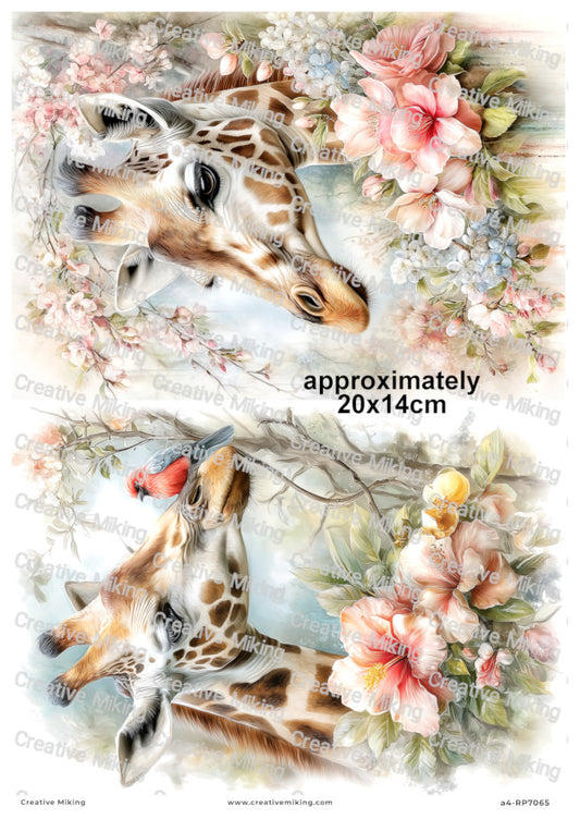 Giraffe With Blossoms Decoupage Paper | RP7065