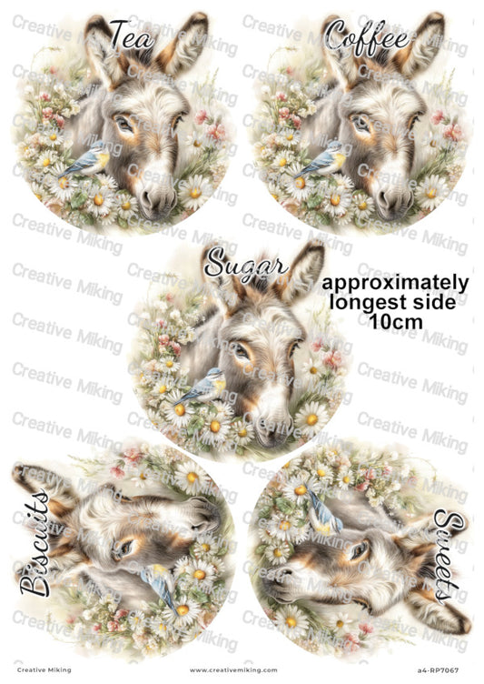 Donkey With Bird And Daisies Kitchen Labels Decoupage Paper – Tea, Coffee, Sugar, Biscuits, Sweets | RP7067