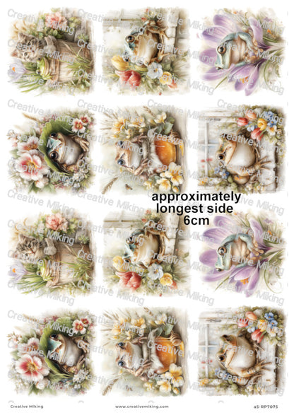 Garden Frog Decoupage Paper | RP7075
