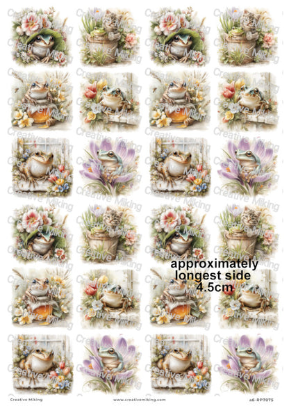 Garden Frog Decoupage Paper | RP7075
