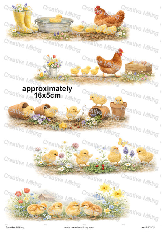 Spring Hens And Chicks Decoupage Rice Paper | RP7102