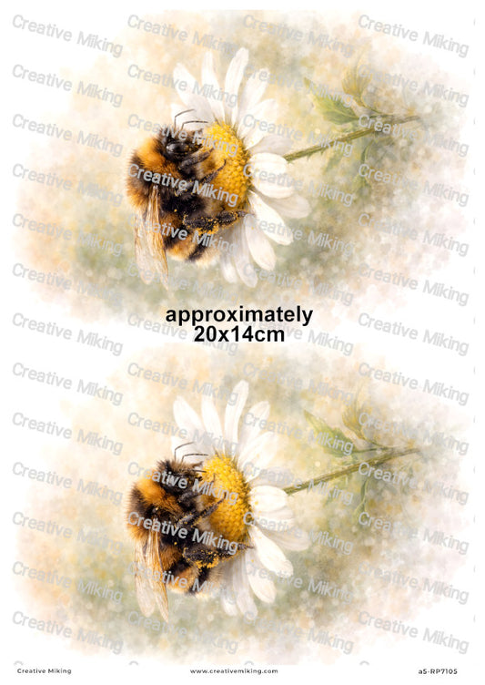 Bumblebee On Daisy Watercolor Decoupage Paper | RP7105
