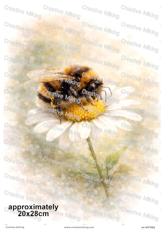 Bumblebee On Daisy Watercolor Decoupage Paper | RP7105