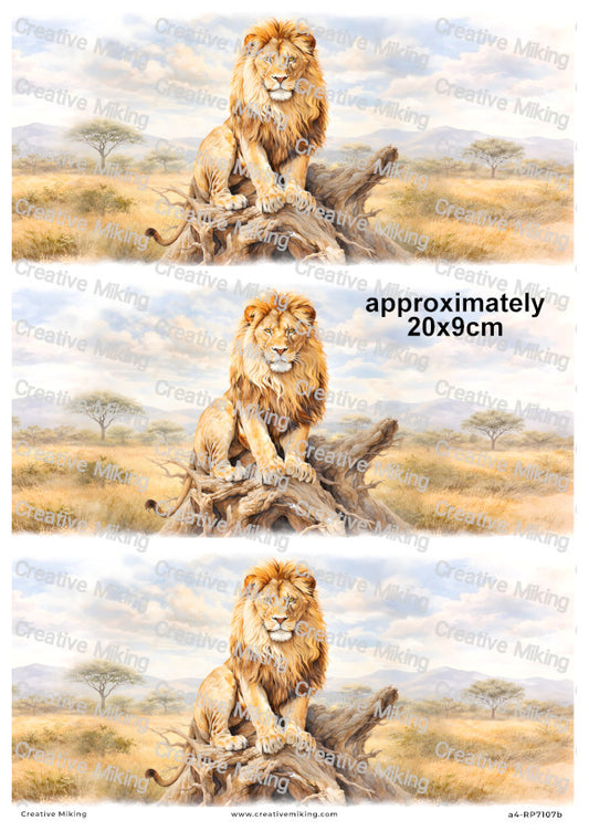 African Lion Landscape Decoupage Paper | RP7107b