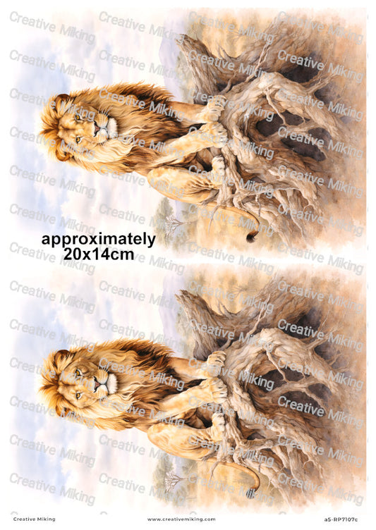 African Lion Landscape Decoupage Paper | RP7107c