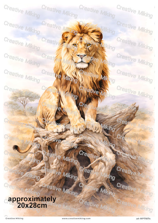 African Lion Landscape Decoupage Paper | RP7107c