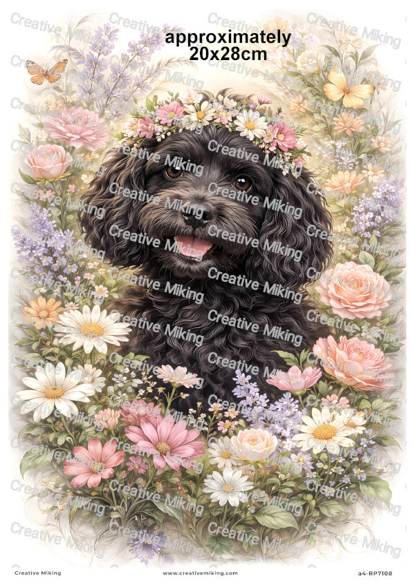Cockapoo Dog Decoupage Paper | RP7108