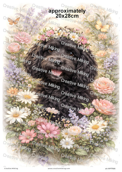 Cockapoo Dog Decoupage Paper | RP7108