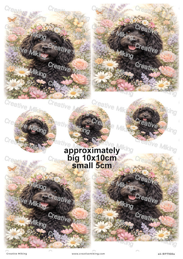 Cockapoo Dog Decoupage Paper | RP7108a