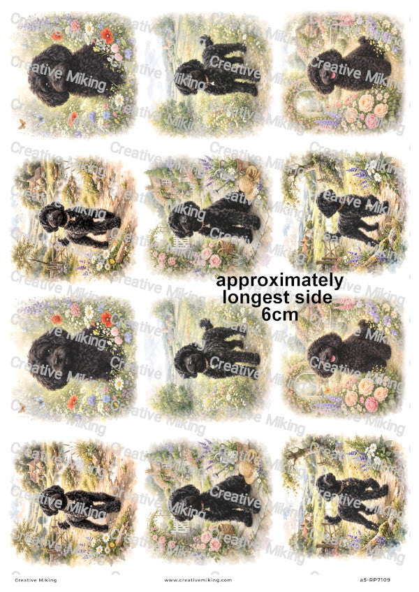 Cockapoo Dog Decoupage Rice Paper | RP7109
