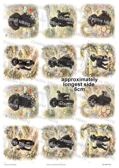 Cockapoo Dog Decoupage Rice Paper | RP7109