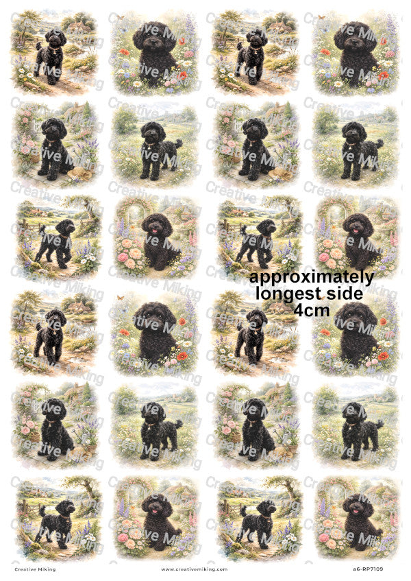 Cockapoo Dog Decoupage Rice Paper | RP7109