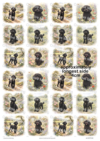 Cockapoo Dog Decoupage Rice Paper | RP7109