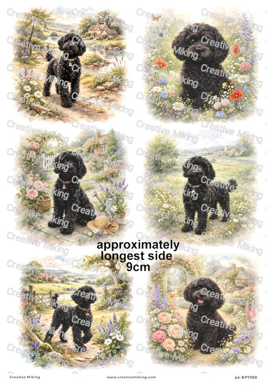 Cockapoo Dog Decoupage Rice Paper | RP7109