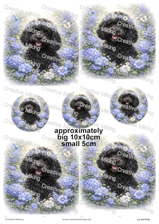 Cockapoo Dog Decoupage Paper | RP7110