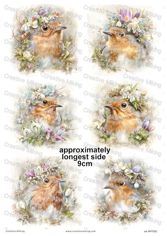 Robin Bird With Spring Flowers Decoupage Rice Paper | RP7121