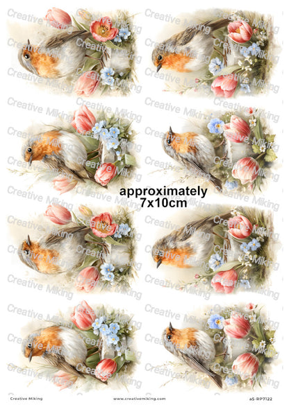 Robin Bird With Spring Flowers Decoupage Rice Paper | RP7122