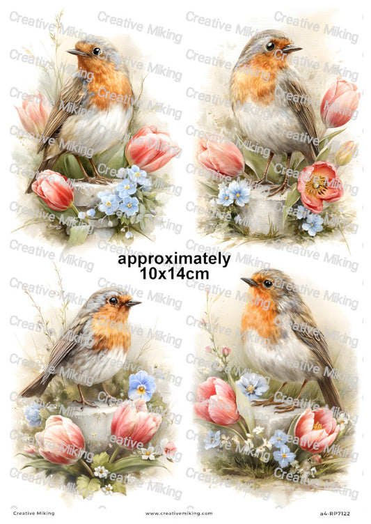 Robin Bird With Spring Flowers Decoupage Rice Paper | RP7122
