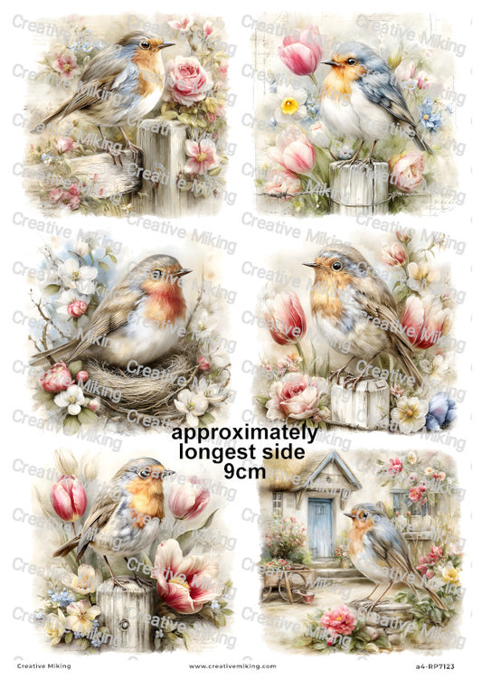 Robin Bird With Spring Flowers Decoupage Rice Paper | RP7123