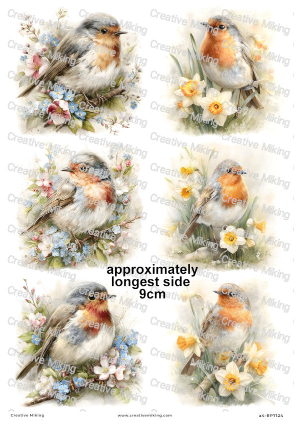 Robin Bird With Spring Flowers Decoupage Rice Paper | RP7124