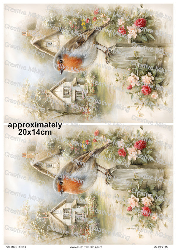 Robin Bird In Cottage Garden Decoupage Rice Paper | RP7125