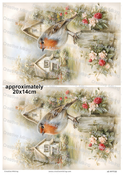 Robin Bird In Cottage Garden Decoupage Rice Paper | RP7125