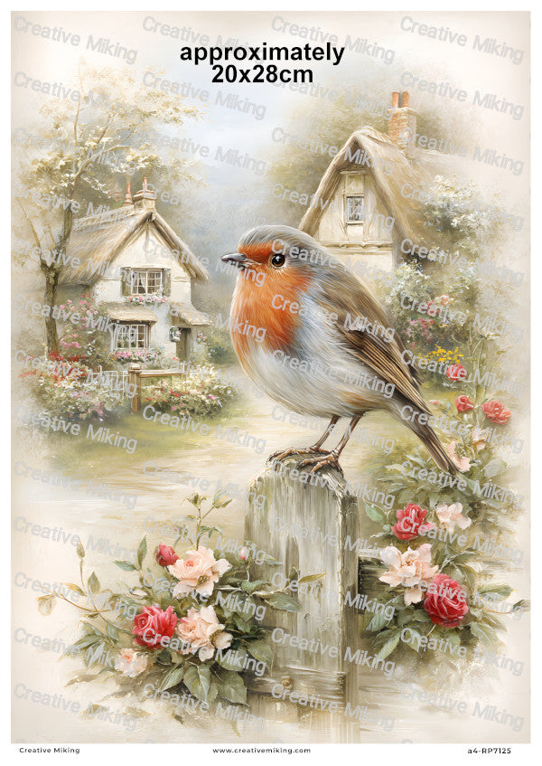 Robin Bird In Cottage Garden Decoupage Rice Paper | RP7125