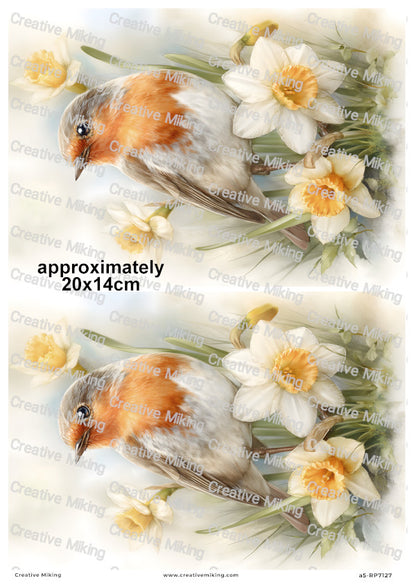 Robin Bird With Daffodils Decoupage Rice Paper | RP7127