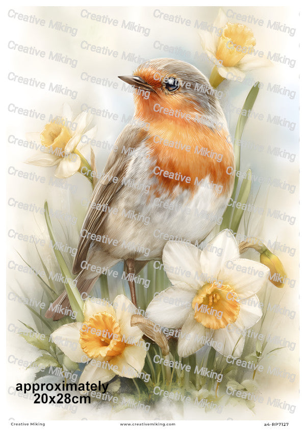 Robin Bird With Daffodils Decoupage Rice Paper | RP7127