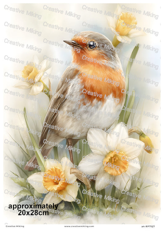 Robin Bird With Daffodils Decoupage Rice Paper | RP7127