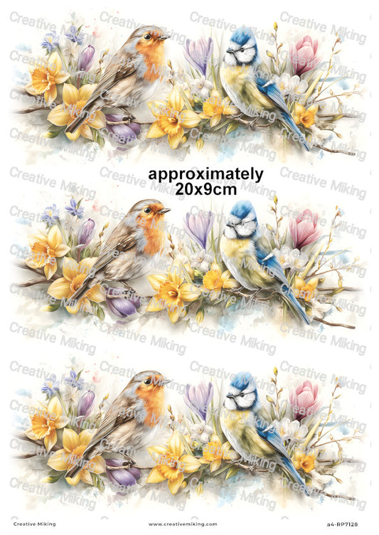 Robin Bird And Blue Tit With Spring Flowers Decoupage Rice Paper | RP7128