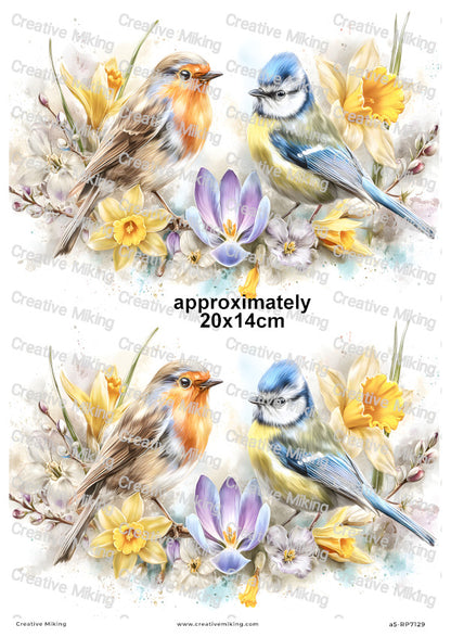 Robin Bird And Blue Tit With Spring Flowers Decoupage Rice Paper | RP7129