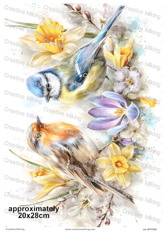 Robin Bird And Blue Tit With Spring Flowers Decoupage Rice Paper | RP7129