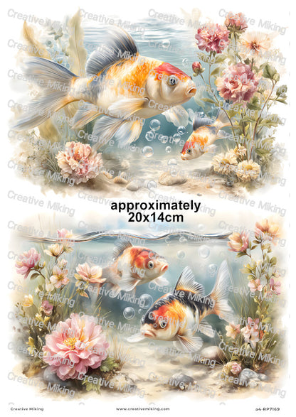 Koi Carp Fish Decoupage Rice Paper | RP7169