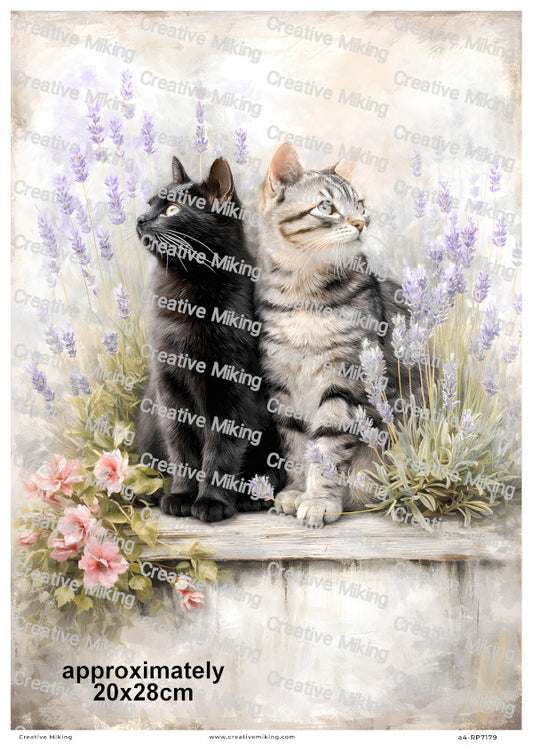 Black And Tabby Cats With Lavender Decoupage Rice Paper | RP7179