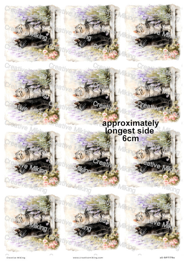 Black And Tabby Cats With Lavender Decoupage Rice Paper | RP7179a