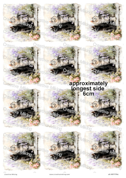 Black And Tabby Cats With Lavender Decoupage Rice Paper | RP7179a