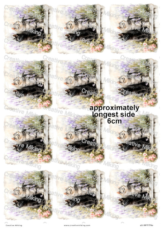 Black And Tabby Cats With Lavender Decoupage Rice Paper | RP7179a