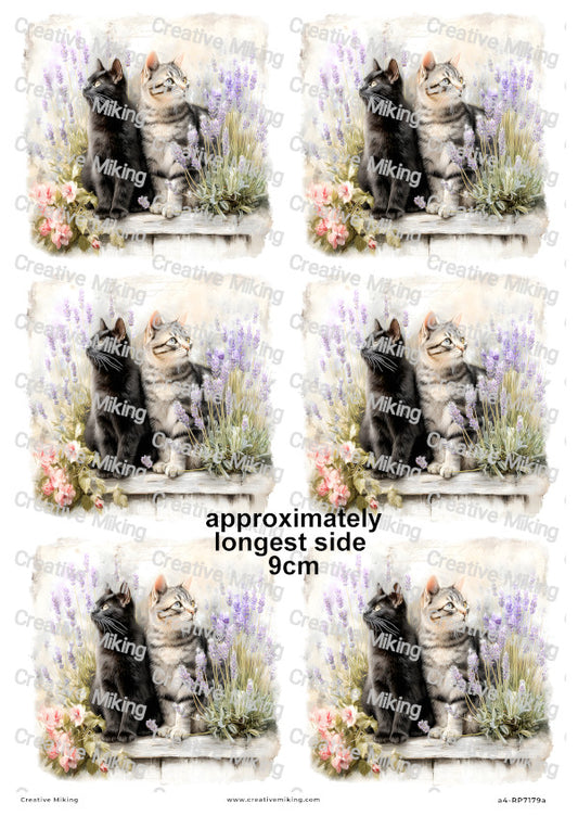 Black And Tabby Cats With Lavender Decoupage Rice Paper | RP7179a