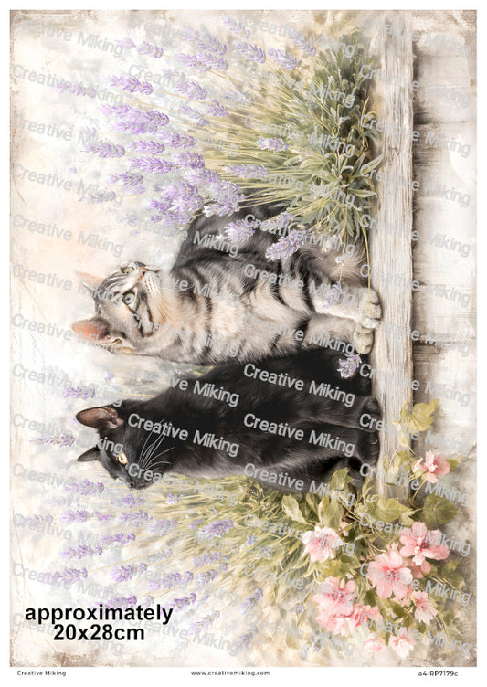 Black And Tabby Cats With Lavender Decoupage Rice Paper | RP7179c