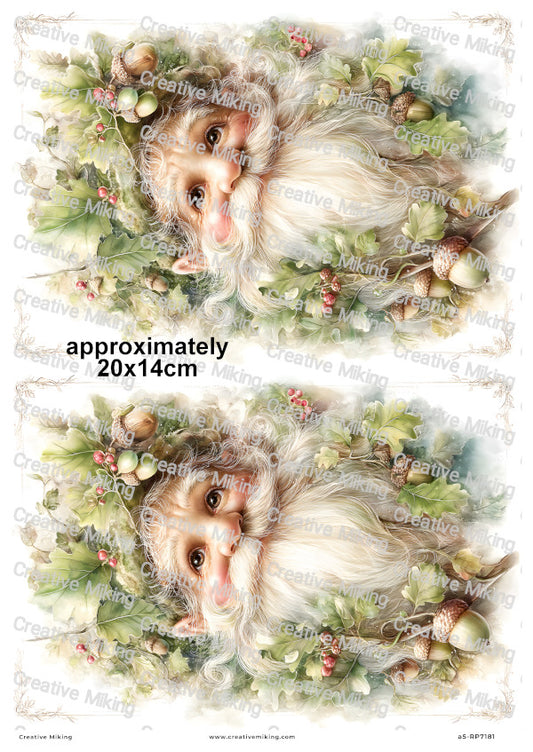 Oak Gnome Decoupage Rice Paper | RP7181