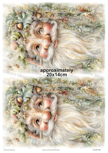 Oak Gnome Decoupage Rice Paper | RP7182